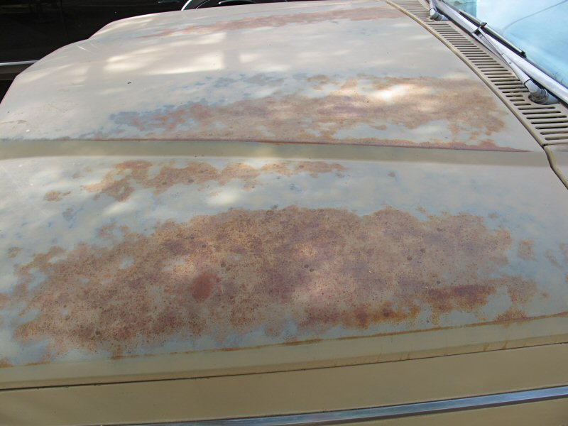 hood rust 1977 Jeep Wagoneer